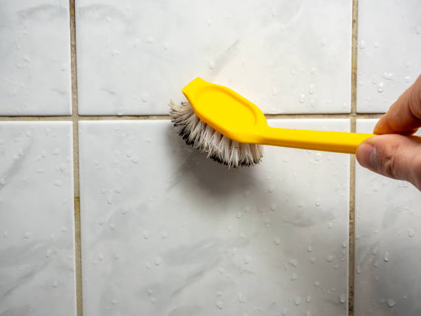 Best Best Mold Removal Companies  in Byram, MS