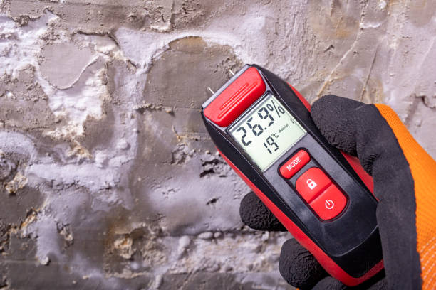 Best Office Mold Removal Services  in Byram, MS