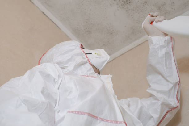 Best Mold Testing  in Byram, MS