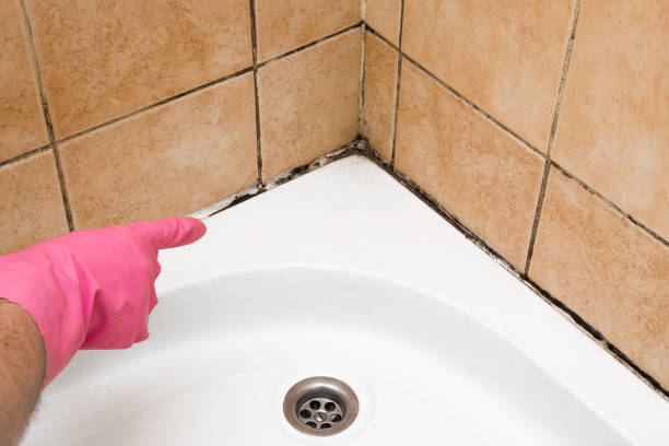 Best Residential Mold Removal  in Byram, MS